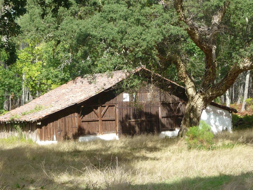 Appartements A Cote Lac Marin De Port D'Albret Vieux-Boucau-les-Bains Exterior foto